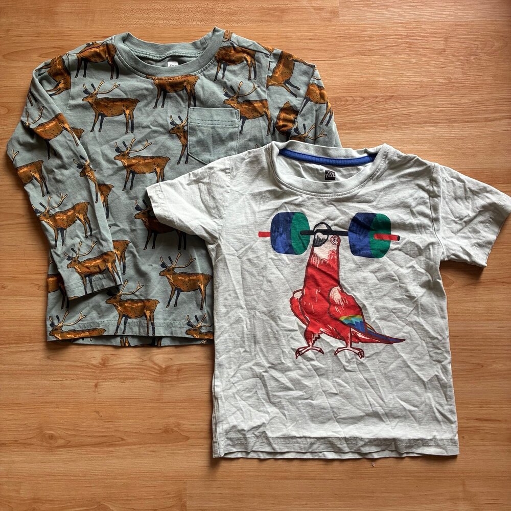 Tea Collection set of 2 t-shirts size 4